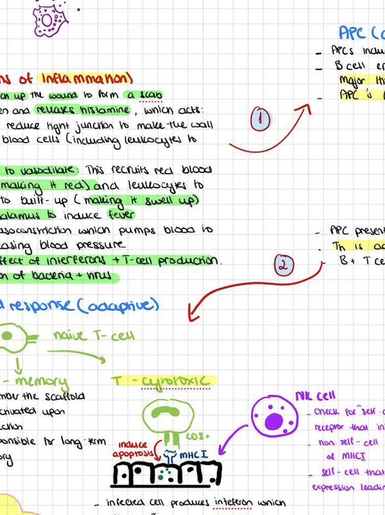 Immunology mindmap
